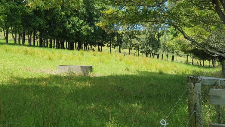 237 Hewlett Road Mata_30