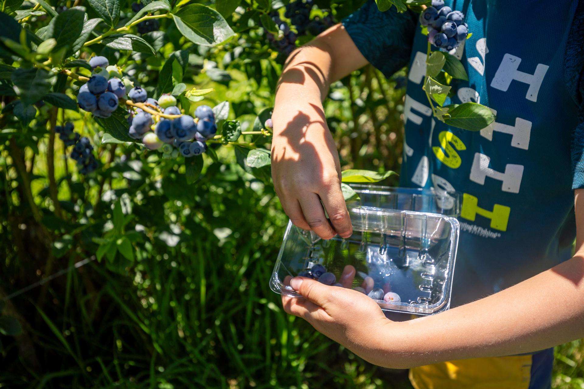 160 Tadmor Valley Road Tapawera_0