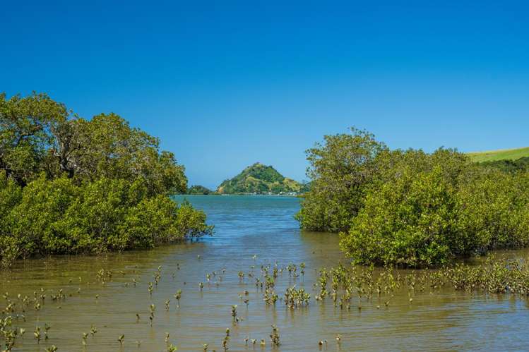 110 Mornington Way Parua Bay_31