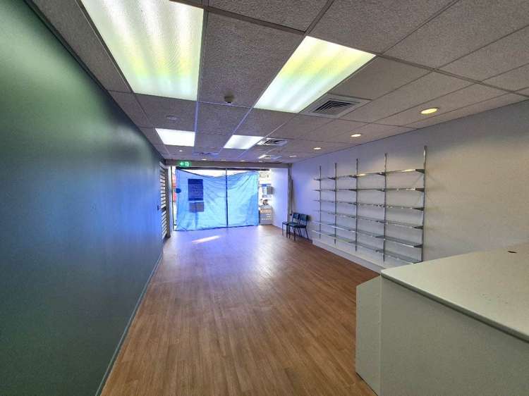 1248 Dominion Road Mt Roskill_2