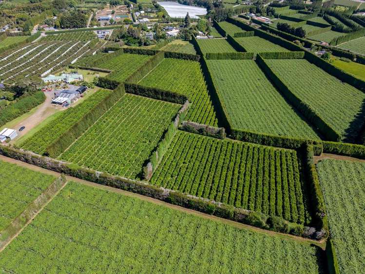 581D Kerikeri Road Kerikeri_4