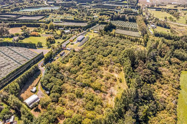 49 Lindemann Road Katikati_5