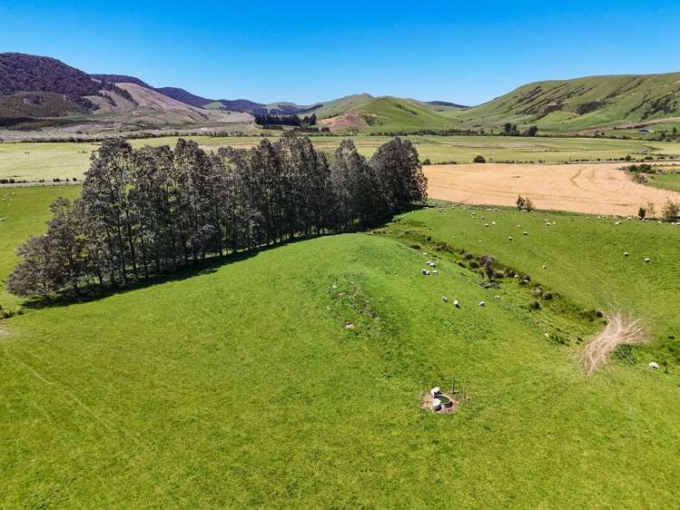 124 Niagara Waikawa Road Tokanui_9