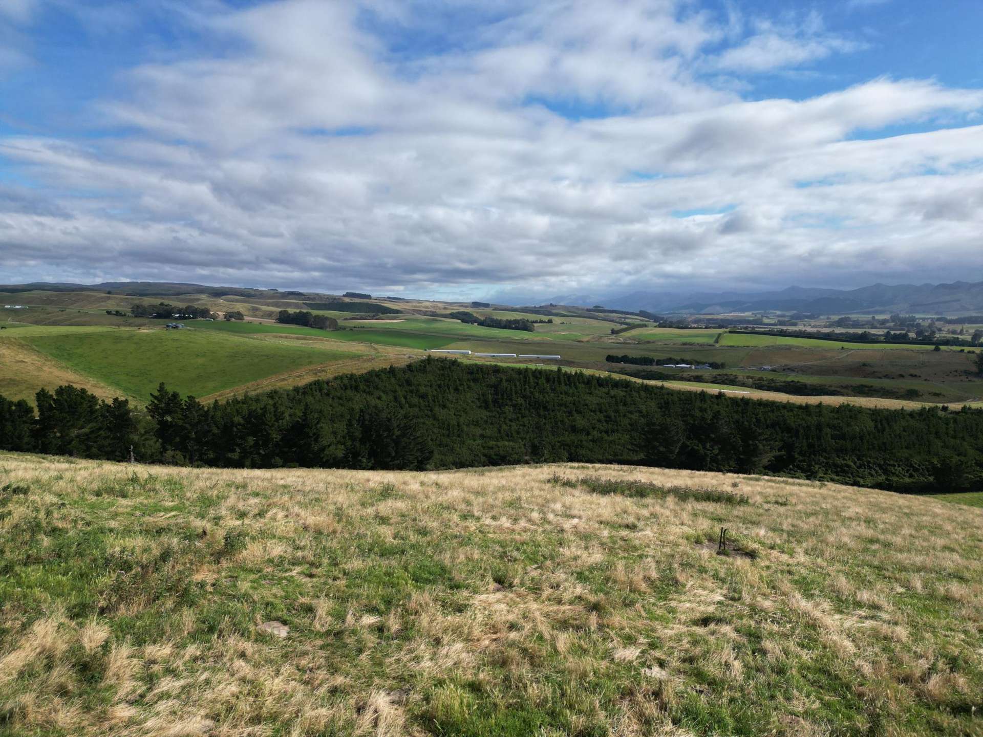 3/220 Taieri Peak Road Palmerston_0