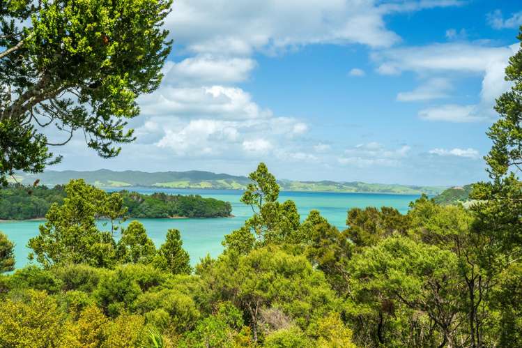 71 Tahunatapu Road Parua Bay_20