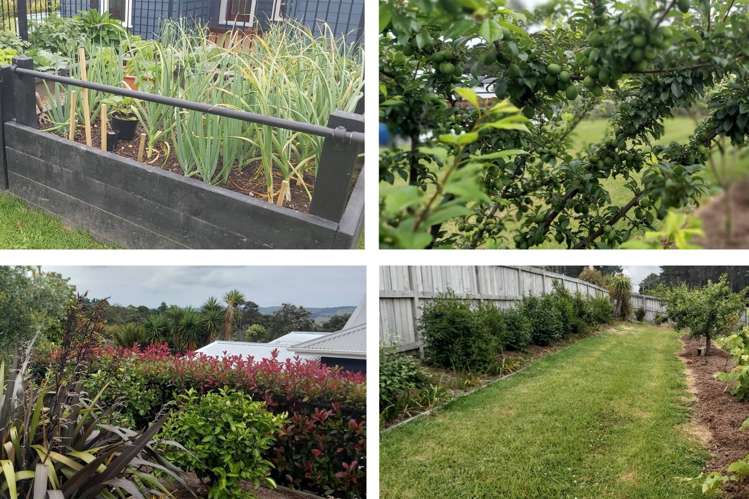 176 Wishart Road Helensville_17