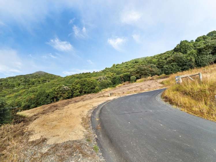 65 Kakapo Street Saint Leonards_12