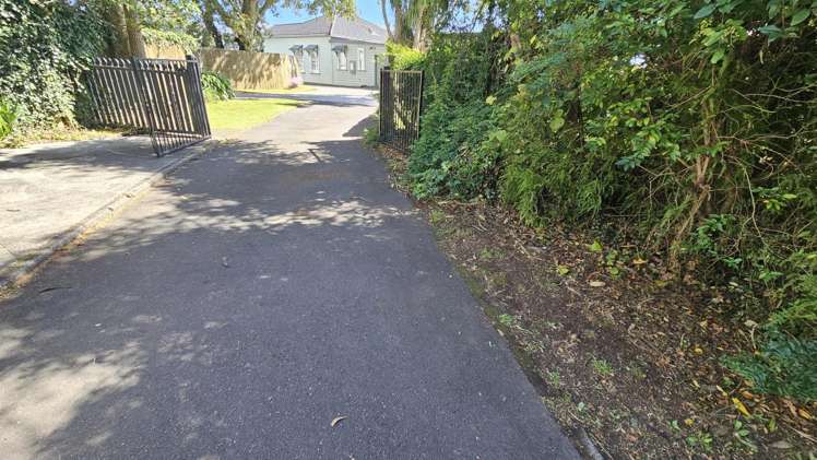 275a Carrington Street Vogeltown_21