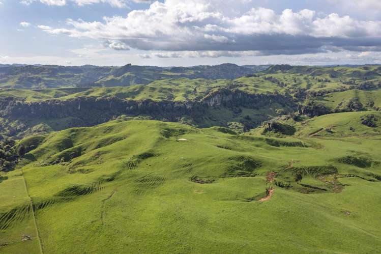 574 Mangaotaki Road Piopio_16