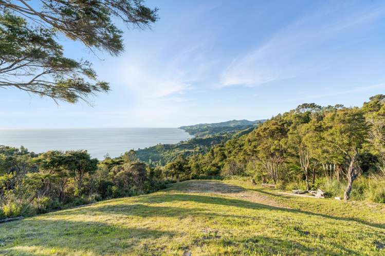 98 Tapu Rise Heights Tapu_5