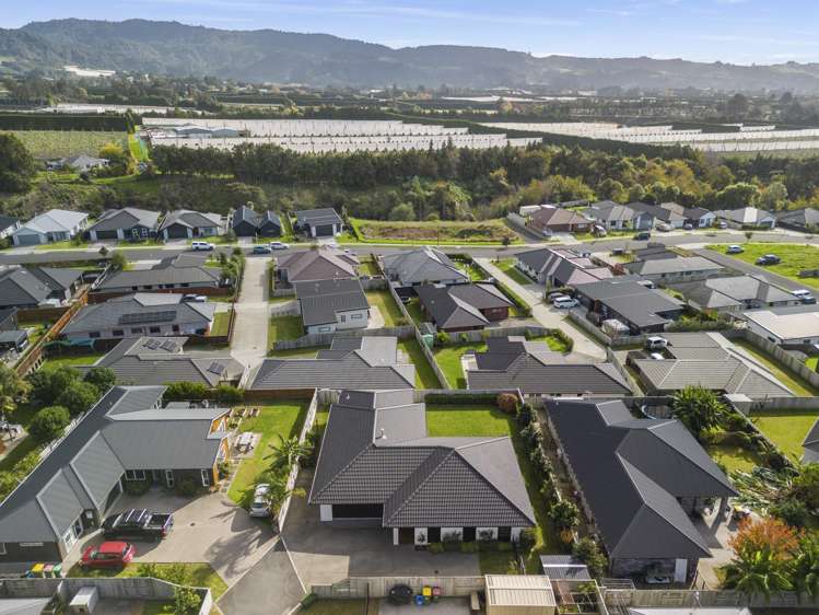 14c No 2 Road Te Puke_44