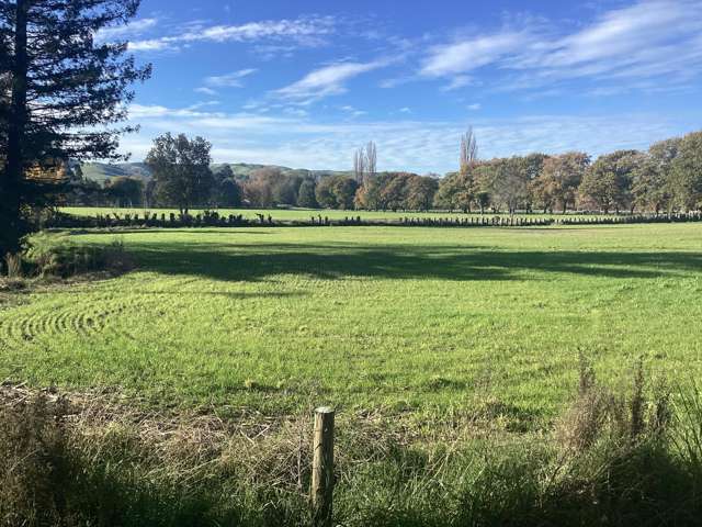 368 Dartmoor Road Puketapu_1