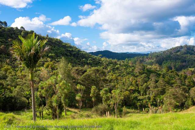 542 Duddy Road Hokianga_3