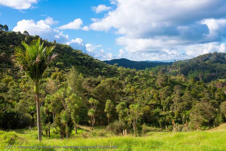 542 Duddy Road Hokianga_2