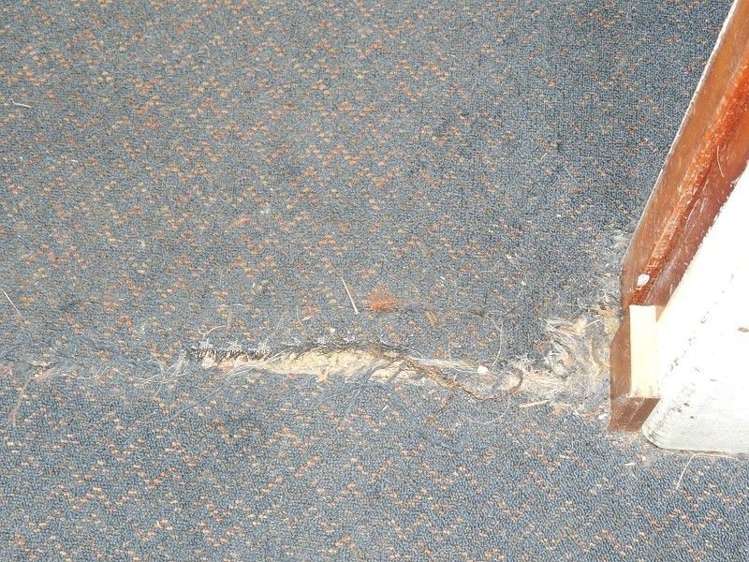 50 Neighbours Street Waimangaroa_20