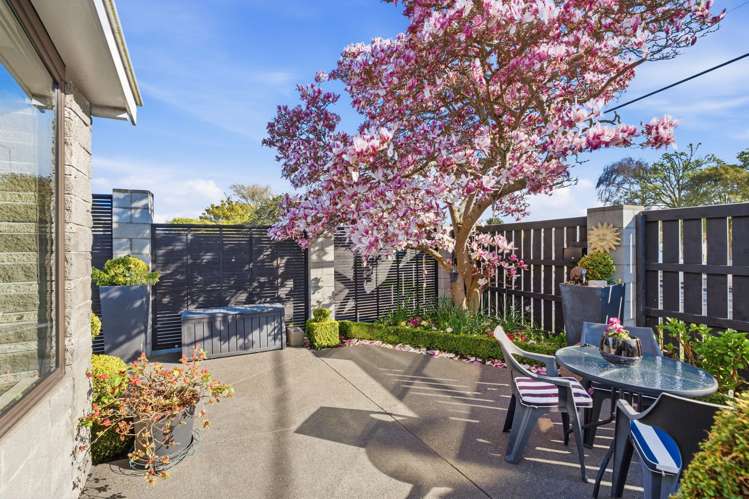 44 Breezes Road Avondale_6