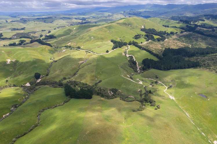 83 Towai Road Dannevirke_24