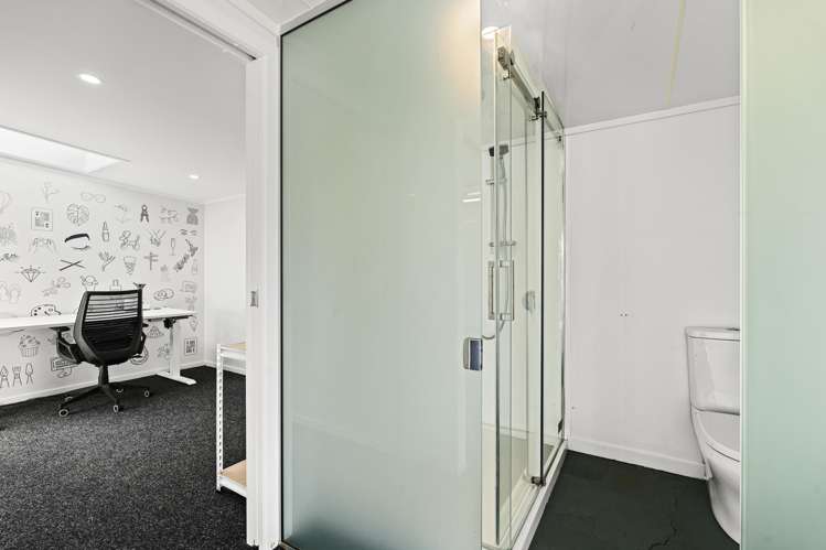 293a Carrington Street Vogeltown_18