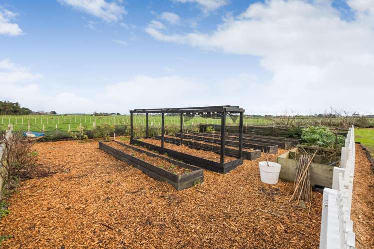 320 Kaimatarau Road Rongotea_37