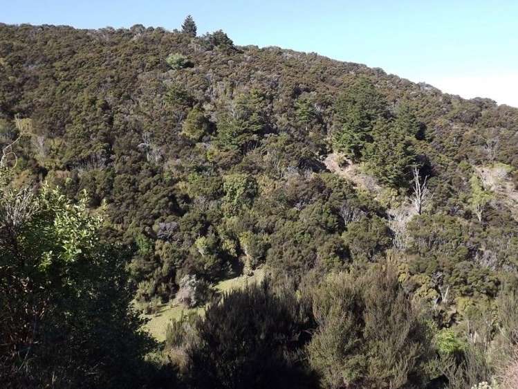 704 Mangatarere Valley Road Carterton_11