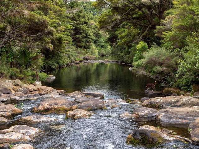 301 Puketotara Road Kerikeri_2