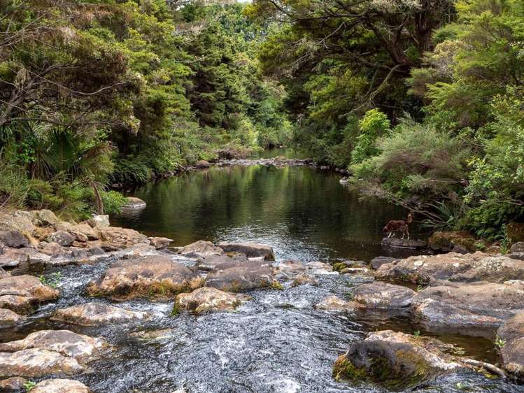 301 Puketotara Road Kerikeri_2