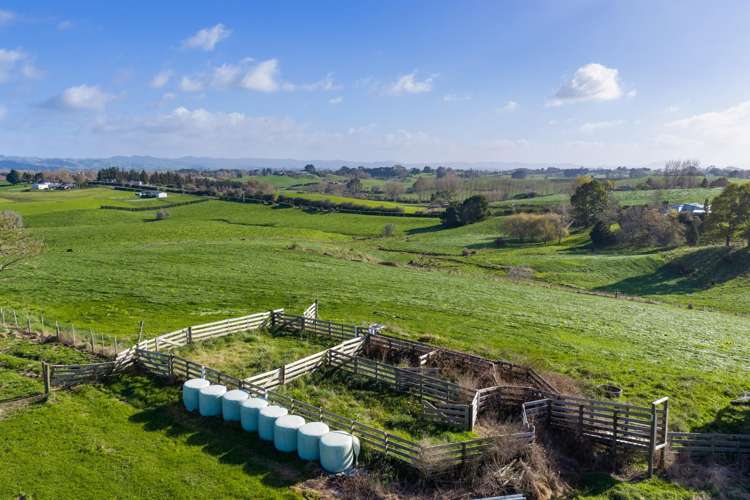 102 Gillard Road Ngahinapouri_9