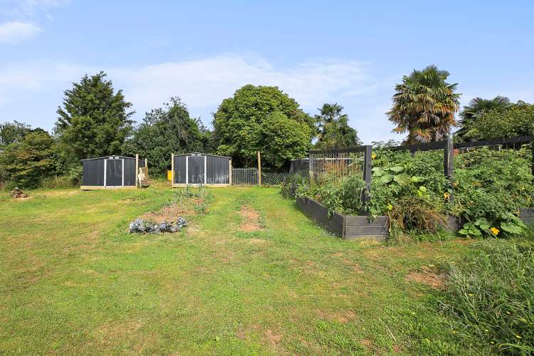 18 Hall Street Kihikihi_25