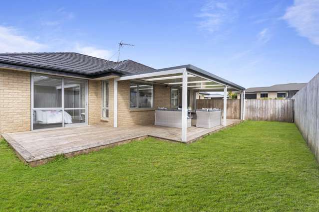 46 Moira Drive Tuakau_2