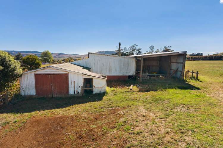 106 Andrews Road Onewhero_42