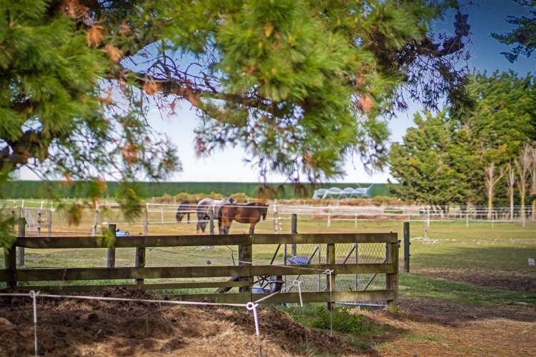 321 Southbridge Leeston Road Leeston_30