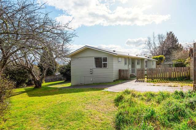 78 Elizabeth Street Tauhara_1