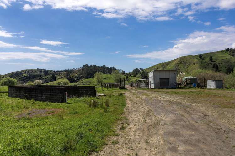 2338 State Highway 2 Opotiki_14