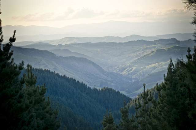 Duncan Road Waimata_1