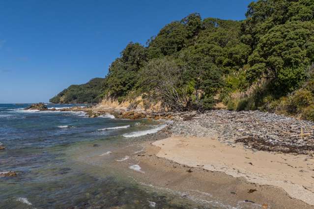 554 Boat Harbour Road Whenuakite_2