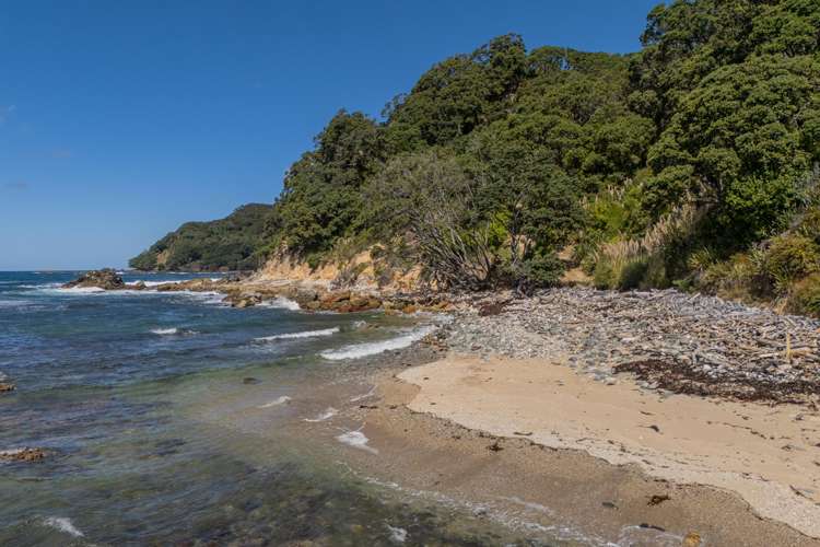 554 Boat Harbour Road Whenuakite_26