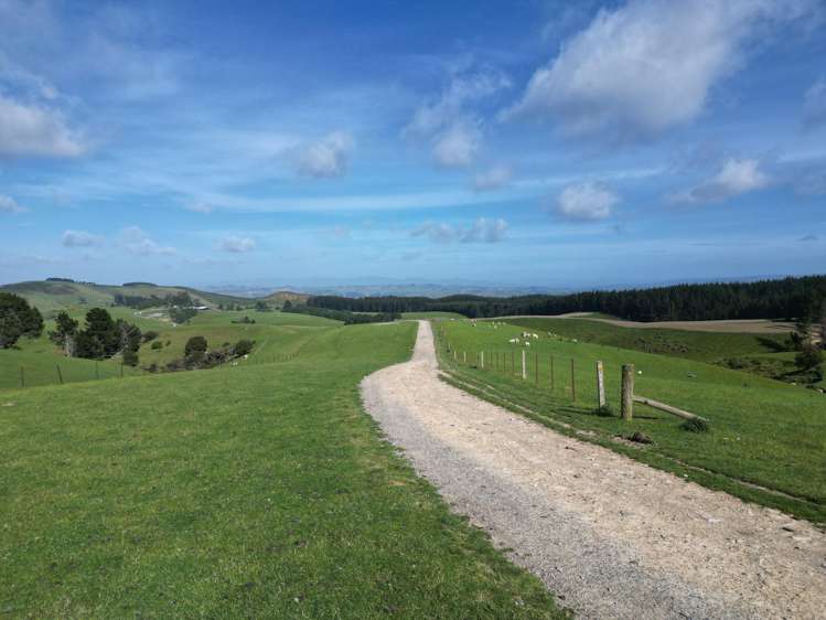 759 Waitahuna Gully Road Manuka Creek_22