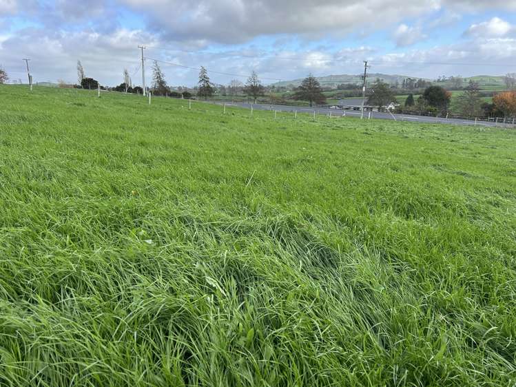 173 Ngahape Road Te Awamutu_6