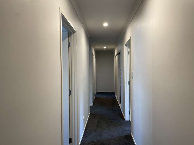 126 Abbot Street Waverley_9