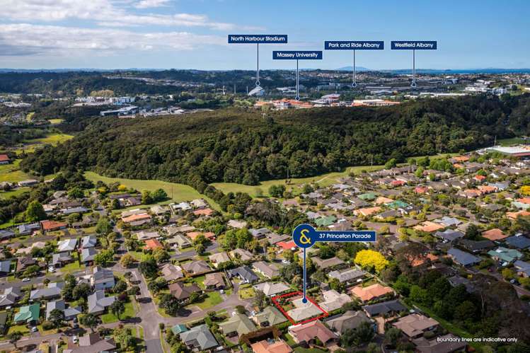 37 Princeton Parade Albany_28