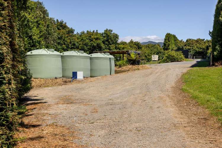 140C Wharawhara Road Tahawai_4