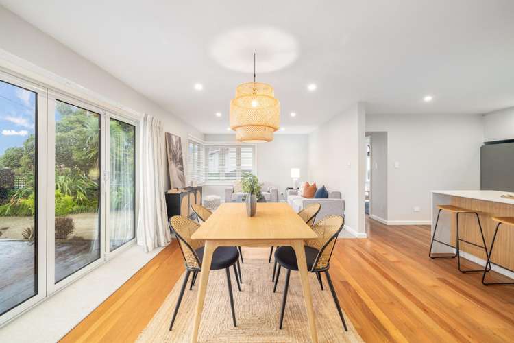 4 Beckenham Street Sydenham_4