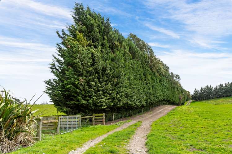 Wairiri Road Glentunnel_9