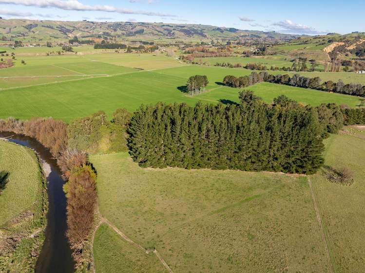 589 Gladstone Road Carterton_32