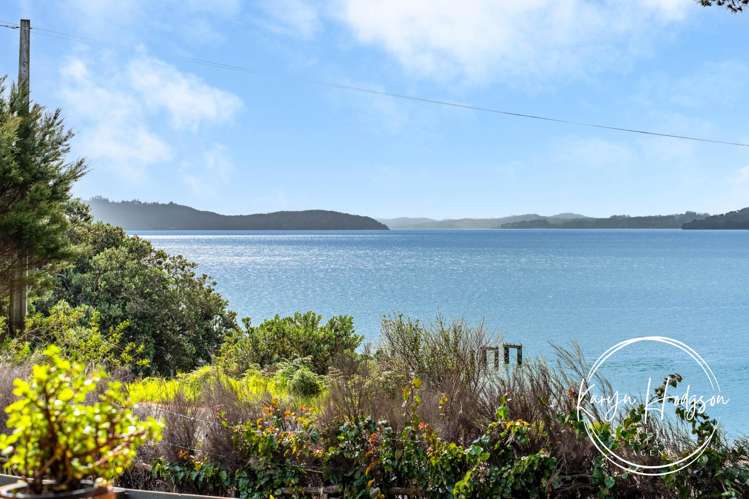 164 Komiti Road Tinopai_18