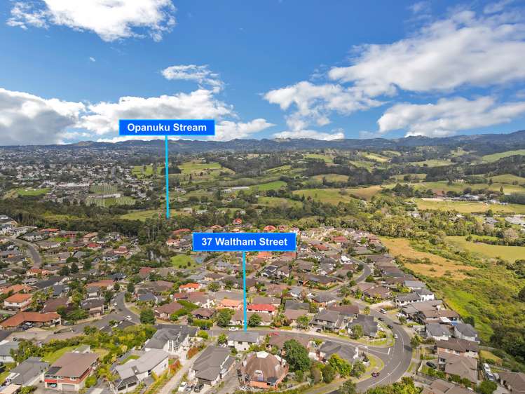 37 Waltham Street Henderson_32