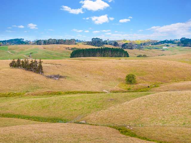 206 Ireland Road Waitoki_4