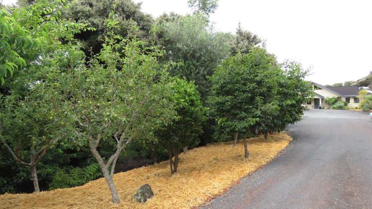 339 Wharau Road Kerikeri_14