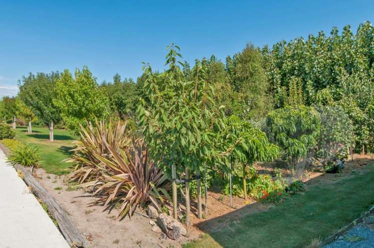 56 Manse Road Leeston_9