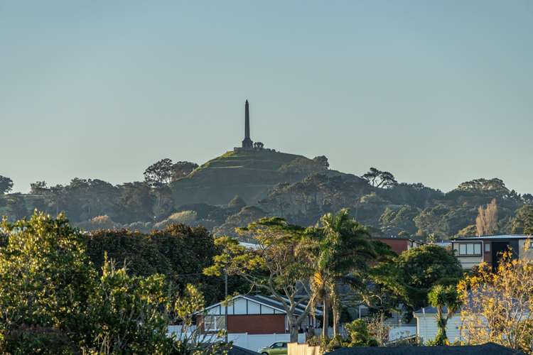 3/11 Spring Street Onehunga_13